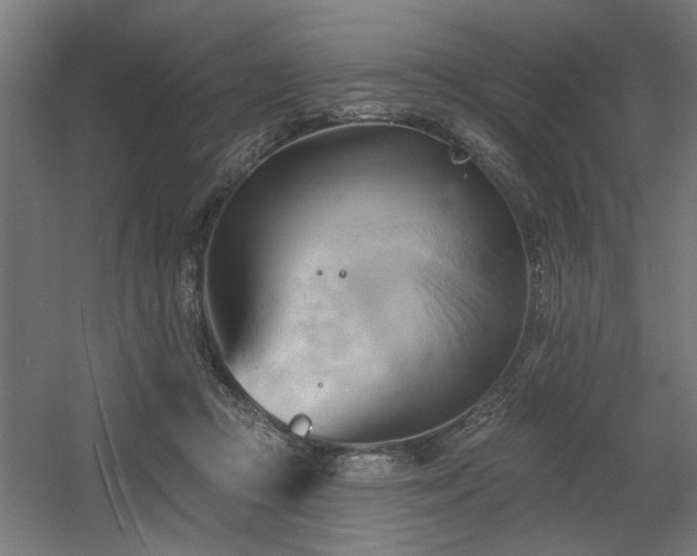 X0000060560361200511031249