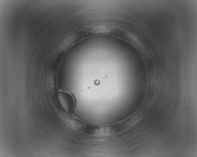 X0000060560362200511031249