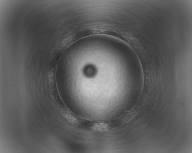 X0000060560369200511031249