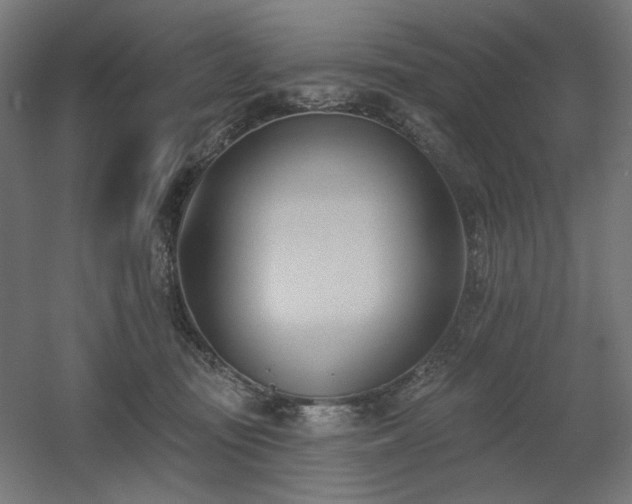 X0000060560371200511031249