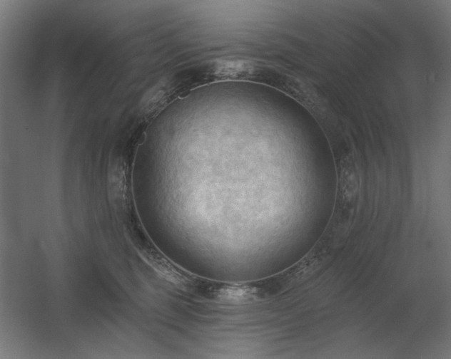 X0000060560375200511031249