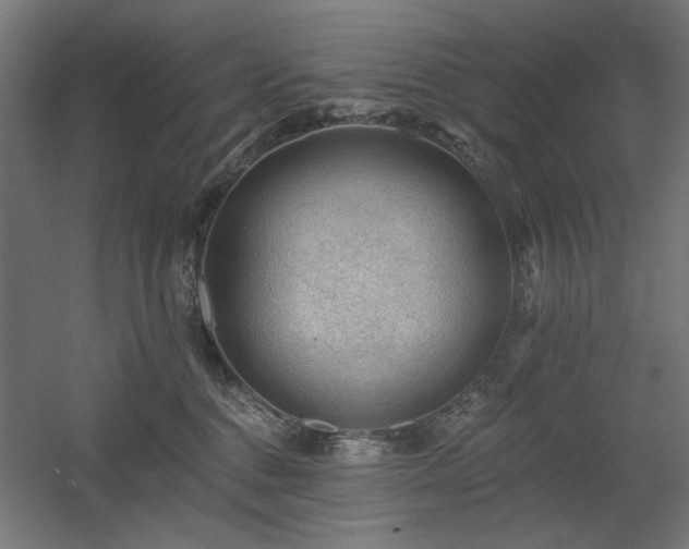 X0000060560376200511031249