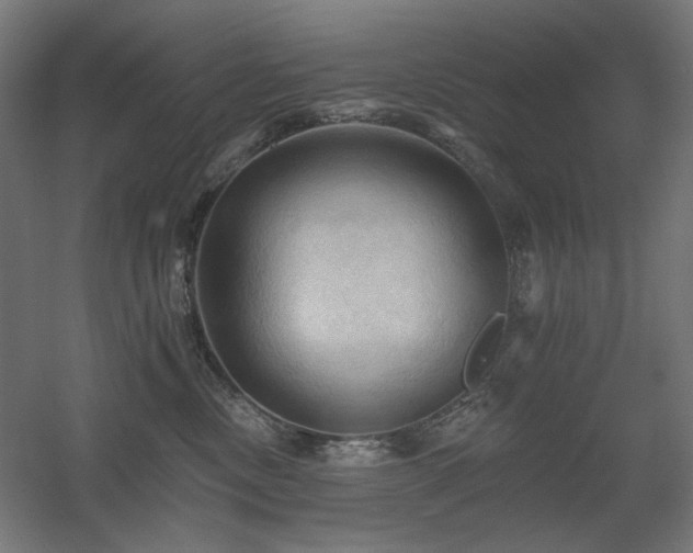 X0000060560378200511031249