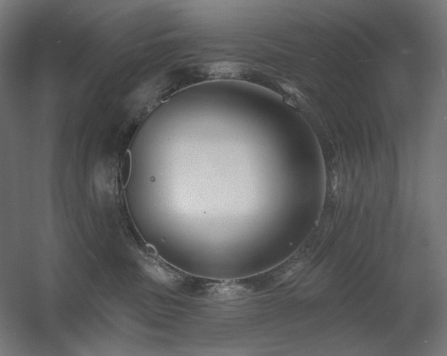 X0000060560379200511031249