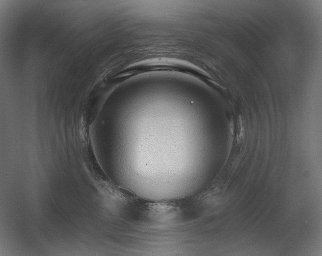 X0000060560380200511031249