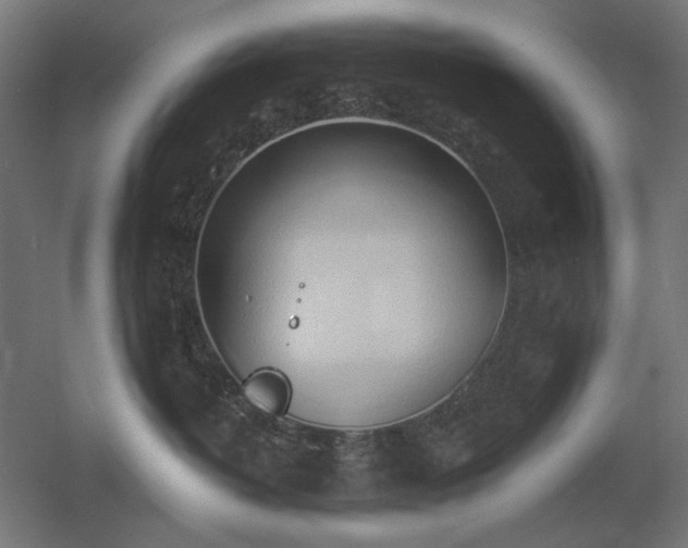 X0000060560382200511031249