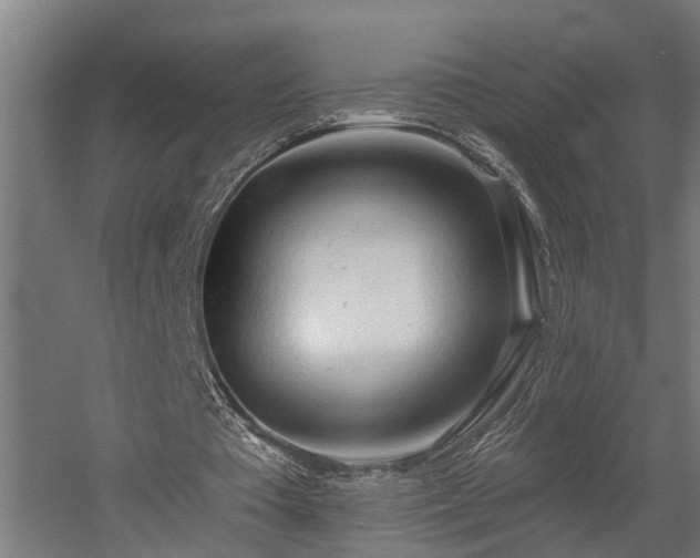 X0000060560385200511031249