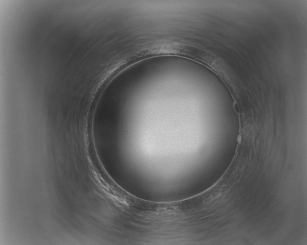 X0000060560386200511031249