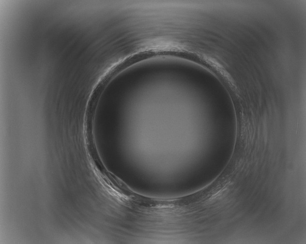 X0000060560391200511031248