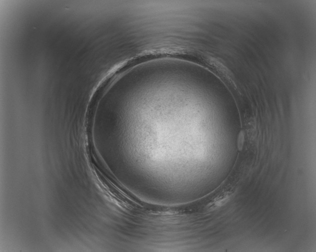 X0000060560395200511031248