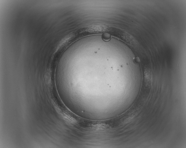 X0000060560396200511031248