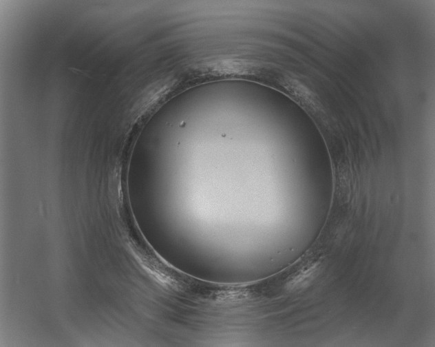 X0000060560398200511031248