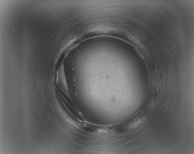 X0000060560399200511031248