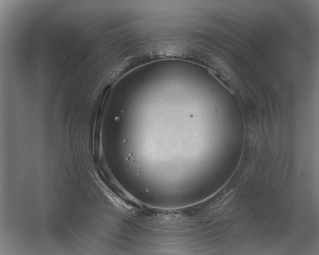 X0000060560401200511031248