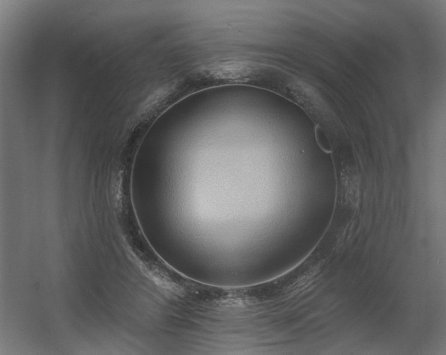 X0000060560404200511031248