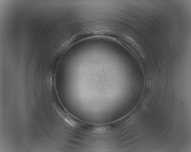 X0000060560405200511031248