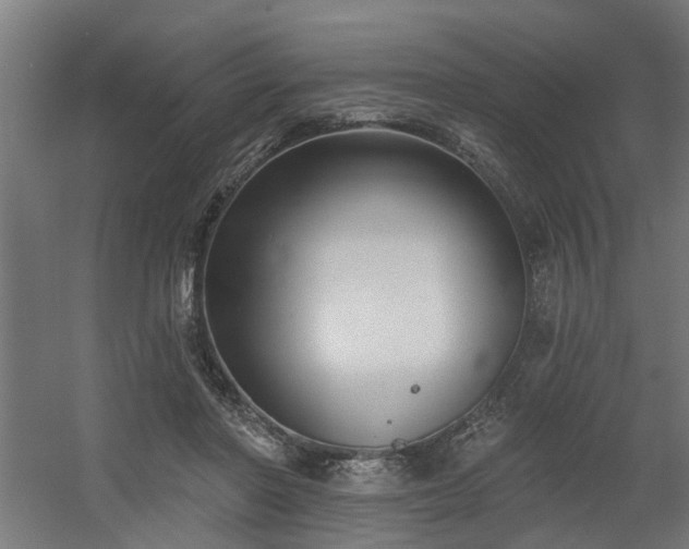 X0000060560406200511031248