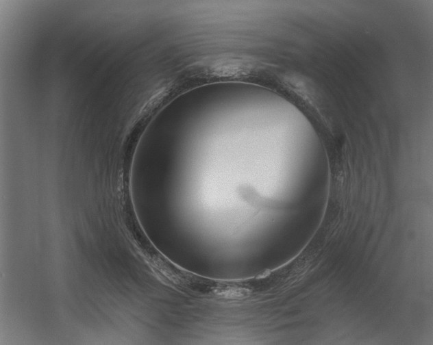 X0000060560407200511031248