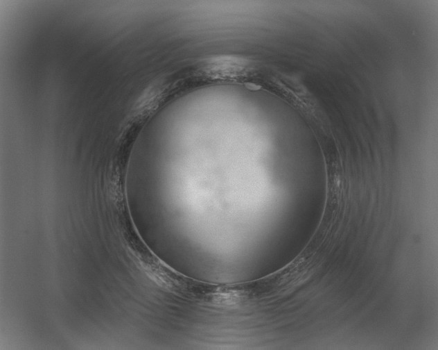 X0000060560411200511031248