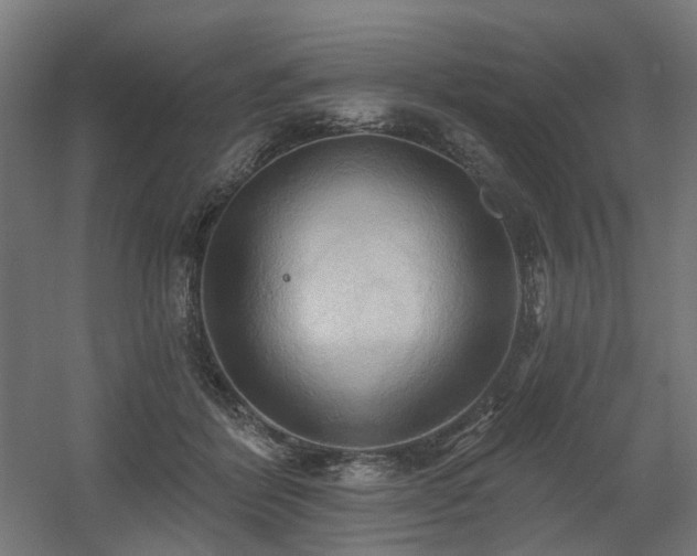 X0000060560412200511031248