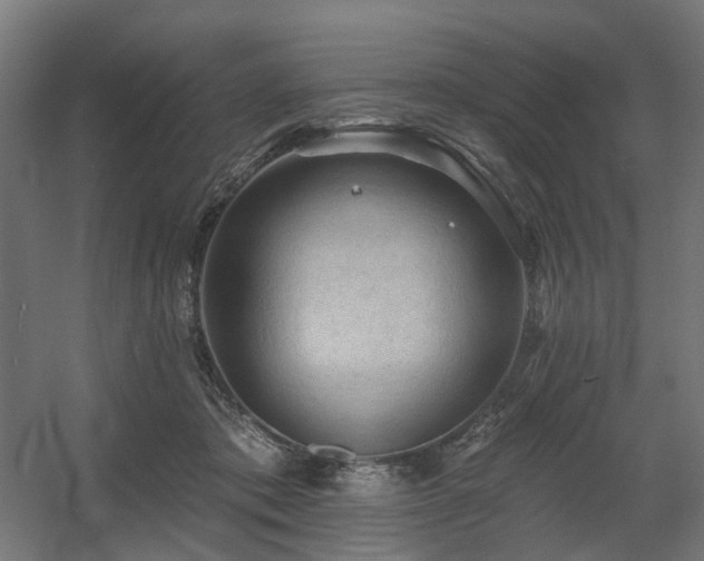 X0000060560413200511031248