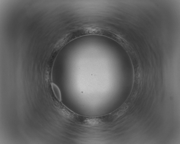 X0000060560417200511031248