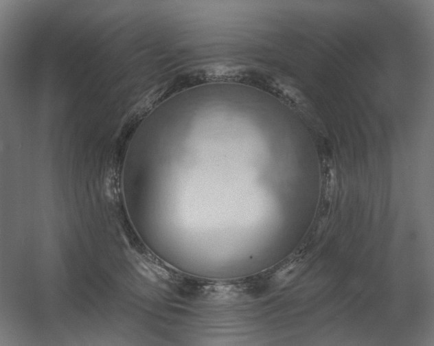 X0000060560419200511031248