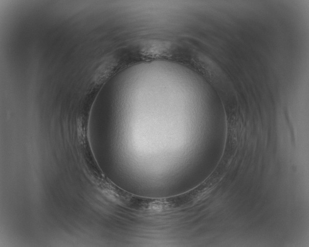 X0000060560420200511031248