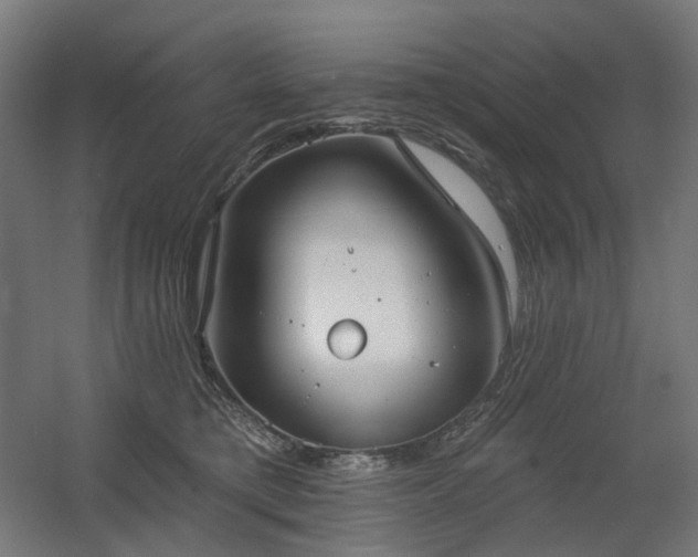 X0000060560421200511031248