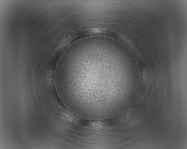 X0000060560423200511031248