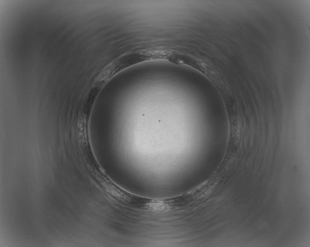 X0000060560425200511031248