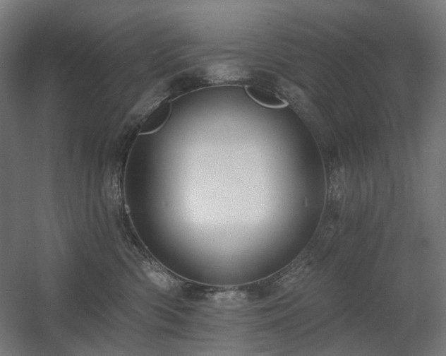 X0000060560426200511031248