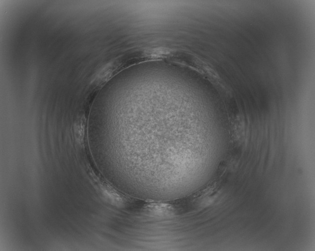 X0000060560427200511031248