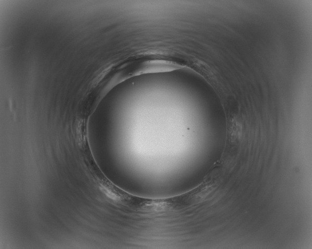 X0000060560428200511031248