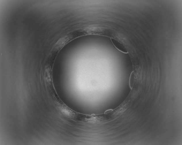 X0000060560430200511031248