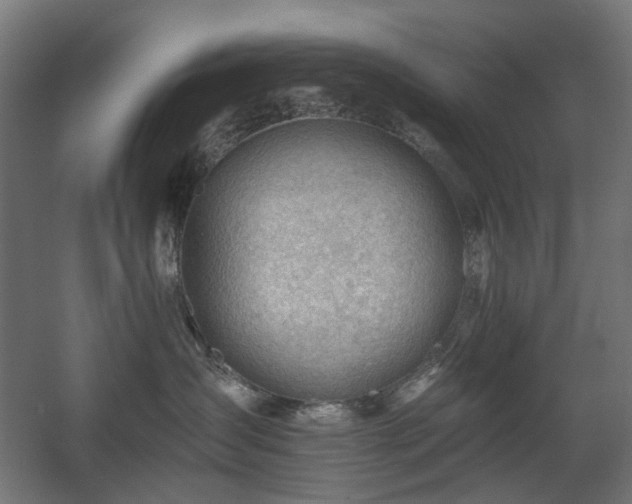 X0000060560431200511031248