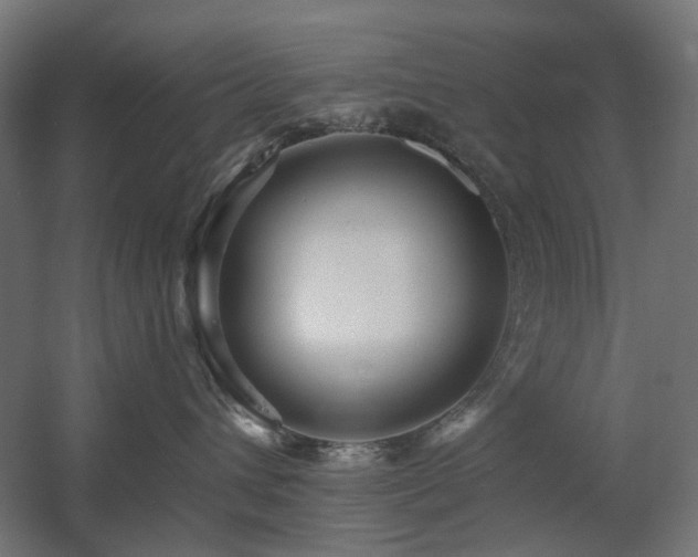 X0000060560432200511031248