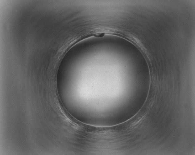 X0000060560433200511031247