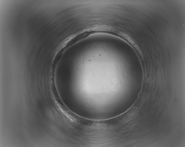 X0000060560437200511031247