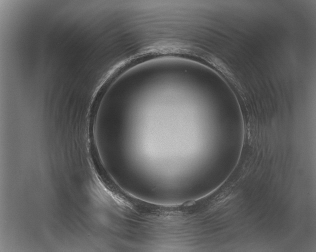 X0000060560438200511031247