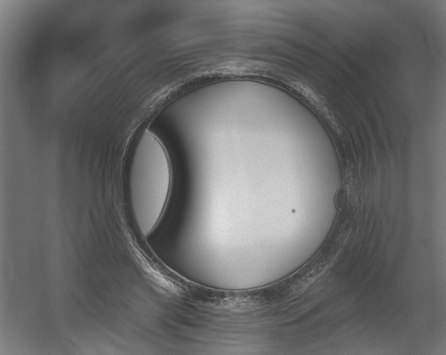 X0000060560445200511031247