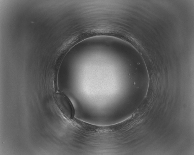 X0000060560446200511031247