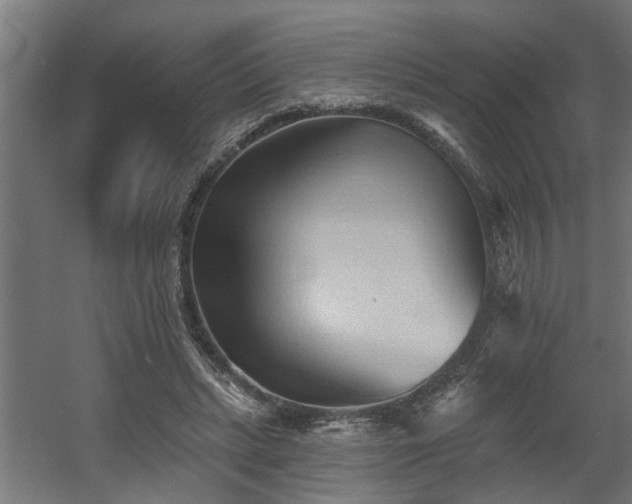 X0000060560447200511031247