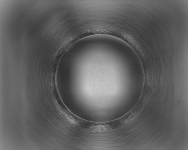 X0000060560449200511031247