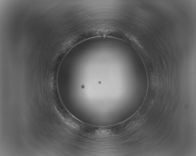 X0000060560451200511031247