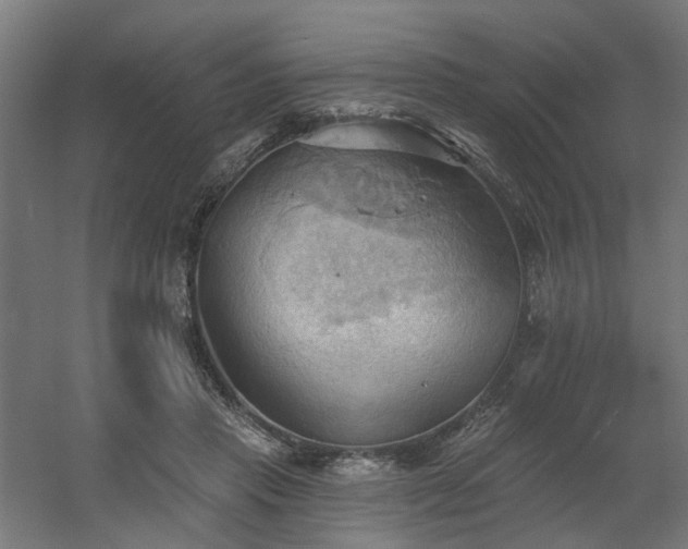 X0000060560453200511031247