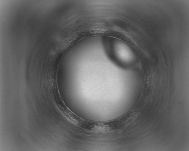 X0000060560455200511031247