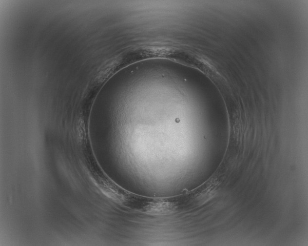 X0000060560459200511031247