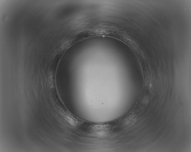 X0000060560465200511031247