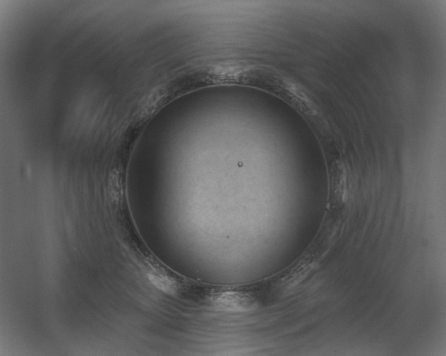 X0000060560467200511031248